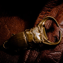 Load image into Gallery viewer, Beetle bottle opener