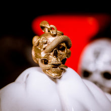 Load image into Gallery viewer, Skull with Vipers