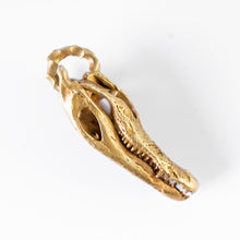 Load image into Gallery viewer, Crocodile Skull