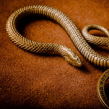 Load image into Gallery viewer, Snake Hook