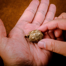 Load image into Gallery viewer, Tortoise Bell