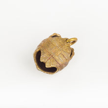 Load image into Gallery viewer, Tortoise Bell