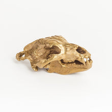 Load image into Gallery viewer, Bear Skull