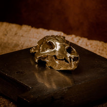 Load image into Gallery viewer, Bear Skull