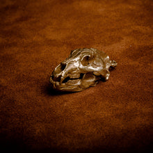 Load image into Gallery viewer, Bear Skull