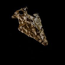 Load image into Gallery viewer, Arrowhead