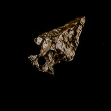Load image into Gallery viewer, Arrowhead