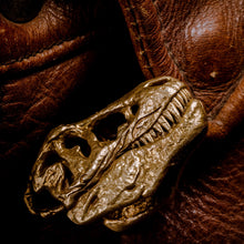 Load image into Gallery viewer, T-Rex Skull