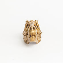 Load image into Gallery viewer, T-Rex Skull