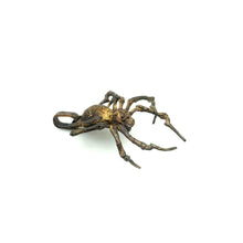 Load image into Gallery viewer, Spider