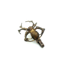 Load image into Gallery viewer, Spider