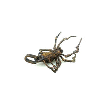 Load image into Gallery viewer, Spider