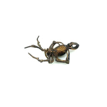 Load image into Gallery viewer, Spider