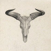 Load image into Gallery viewer, Bull Skull Bottle Opener