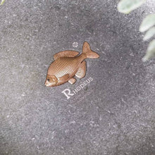 Load image into Gallery viewer, Close-up of the solid brass bitterling on the Rhodeus Plate, with the embossed RHODEUS mark on textured steel