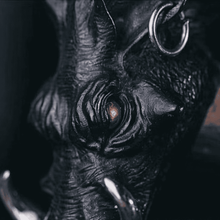 Load image into Gallery viewer, Iron Warthog