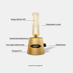 Rechargeable Camping light V1