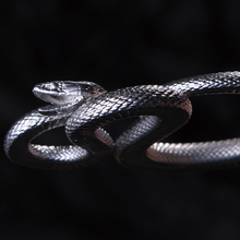 Load image into Gallery viewer, Coiled Viper