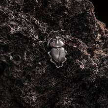 Load image into Gallery viewer, Beetle Earrings