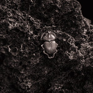 Beetle Earrings