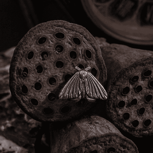 Moth Earrings