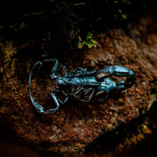 Load image into Gallery viewer, Silver Scorpion
