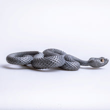 Load image into Gallery viewer, Silver Viper (Limited Edition)