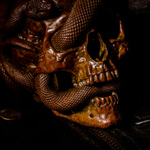 Load image into Gallery viewer, Skull with Vipers Big