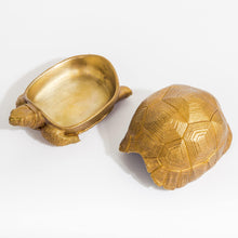Load image into Gallery viewer, Tortoise Bowl