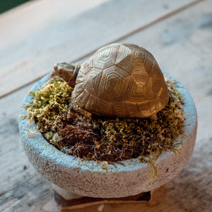 Tortoise Bowl