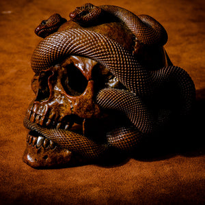 Skull with Vipers Big