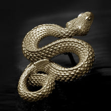 Load image into Gallery viewer, Rattlesnake Pin