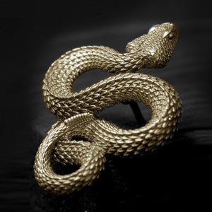 Rattlesnake Pin