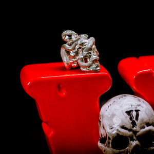 Skull with Vipers (Polished Silver)