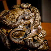 Load image into Gallery viewer, Skull with Vipers Big (Bronze)