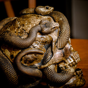 Skull with Vipers Big (Bronze)