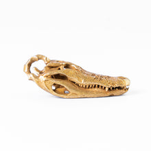 Load image into Gallery viewer, Crocodile Skull