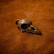Load image into Gallery viewer, Crow Skull