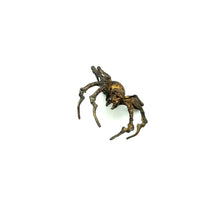 Load image into Gallery viewer, Spider